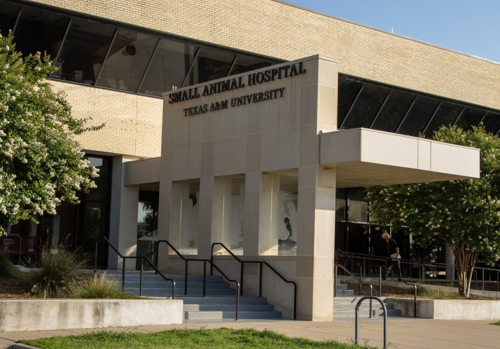 TAMU Education Building and Small Animal Hospital Expansion and Renovation