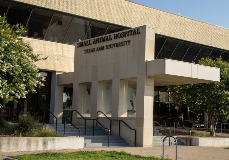TAMU Education Building and Small Animal Hospital Expansion and Renovation